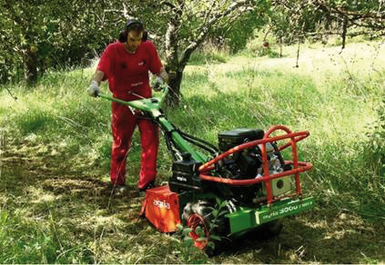 Gartenfräse Typ: AGRIA 3000