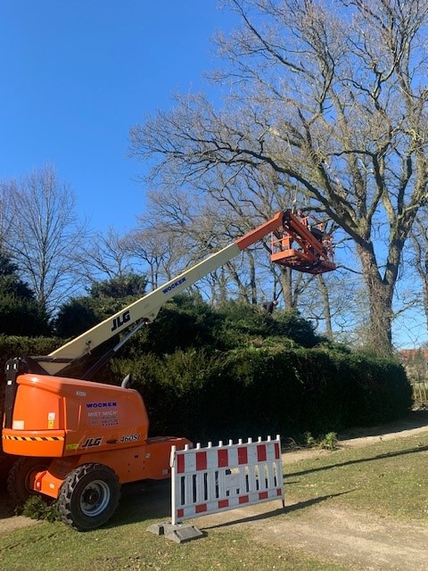 16,02 m Arbeitsbühne Teleskop