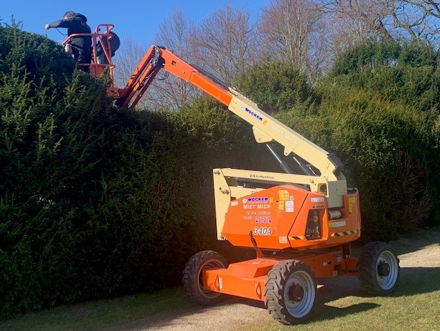 12,33 m  Arbeitsbühne Gelenkteleskop